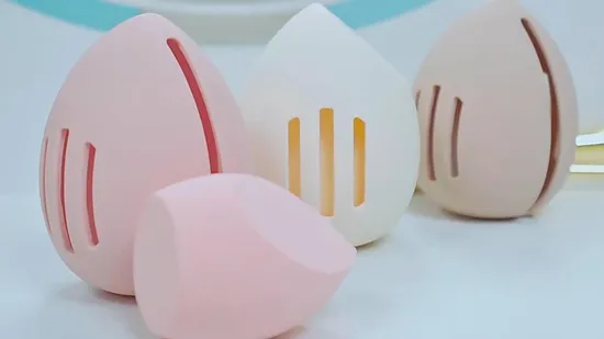 Latex Free Facial Makeup Sponge Set with Silicone Travel Case 