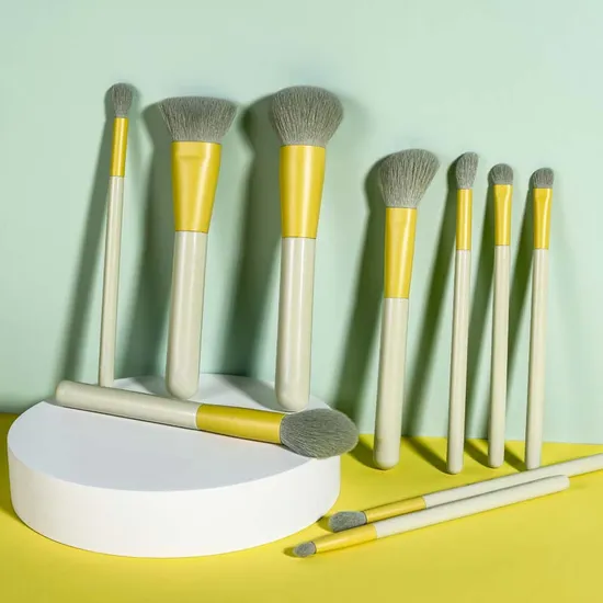 High Quality Personalized Sample 10PCS Vegan Wholesale Professional Logo Custom Private Label Makeup Brush Set with Case 