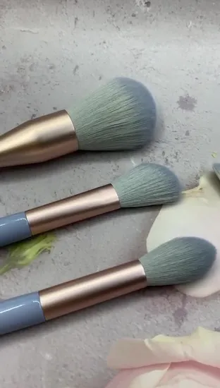 10PCS Blue Color Plastic Handle Fashion Makeup Brushes Set with Makeup Bag 